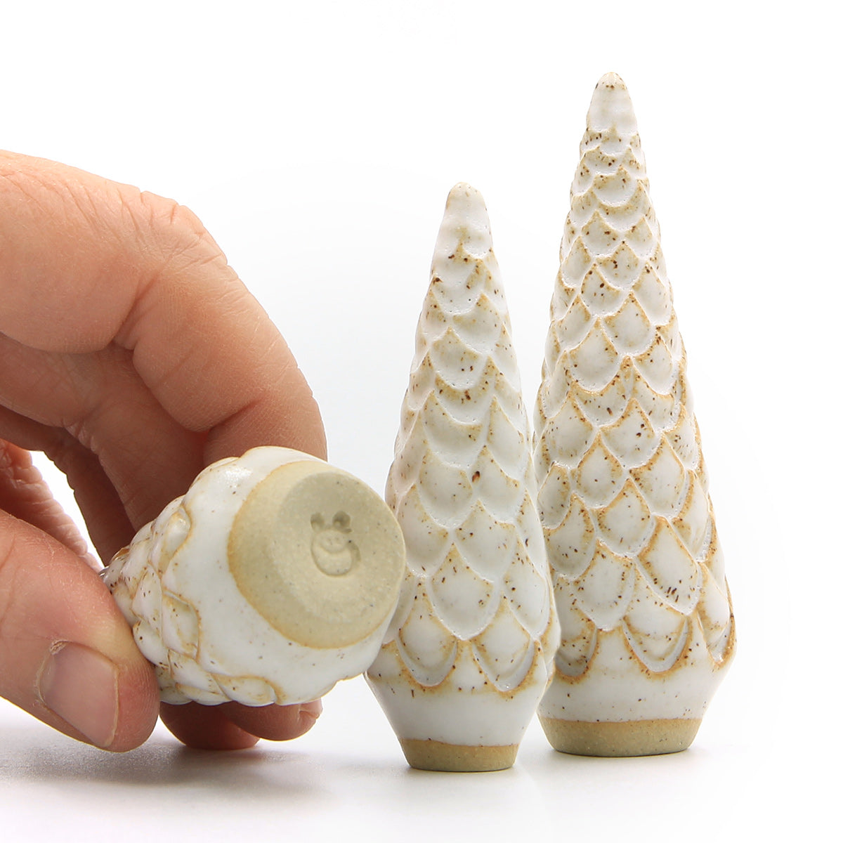 Snow Pine — Hvid Grantræ